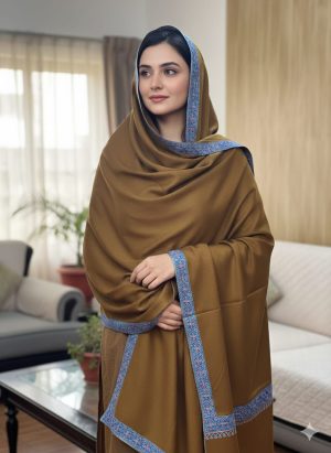 Super Fine Pashmina with Border Hand Embroidery
