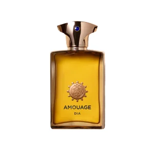 Amouage Dia Men EDP 100ML