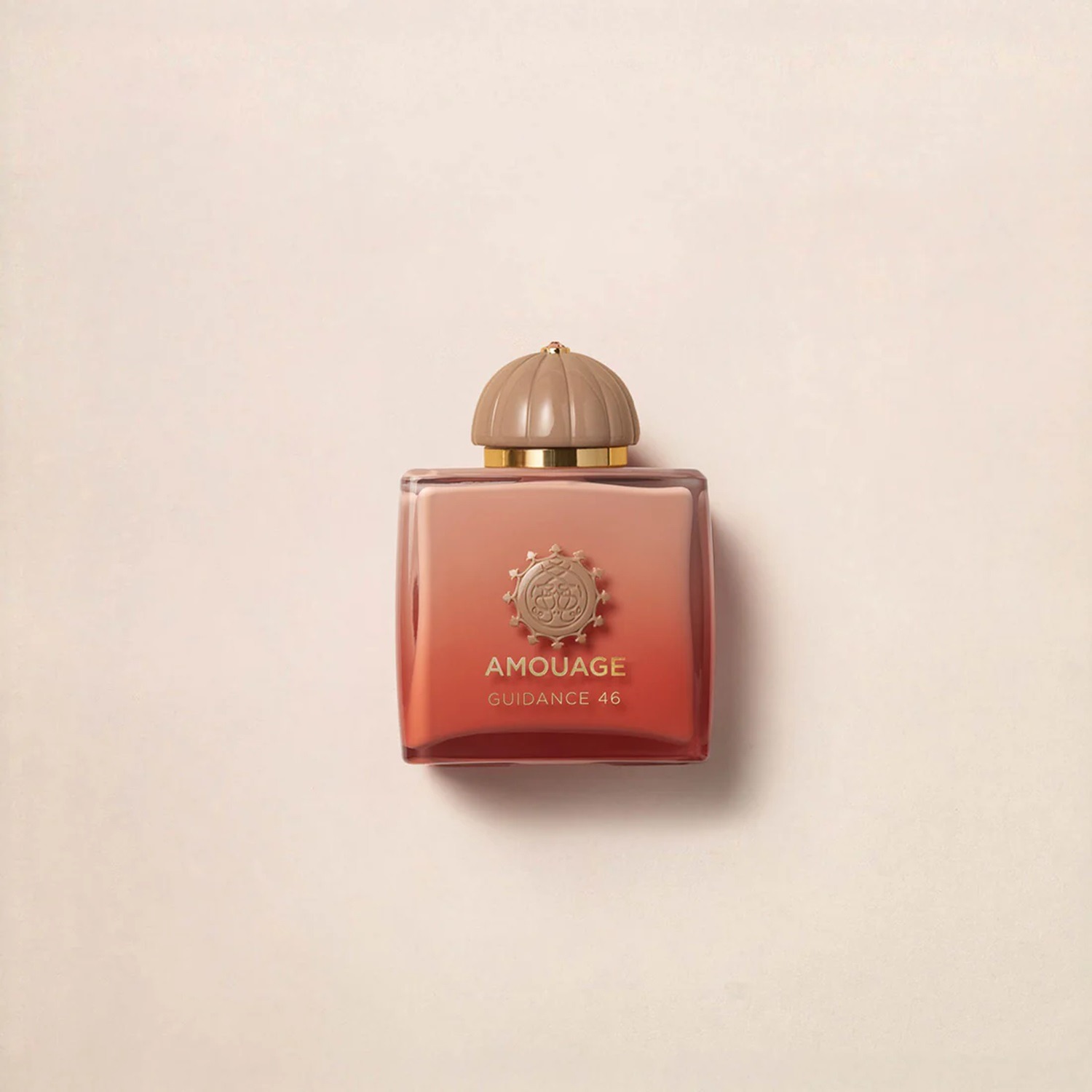 Amouage Guidance 46 Extrait 100Ml