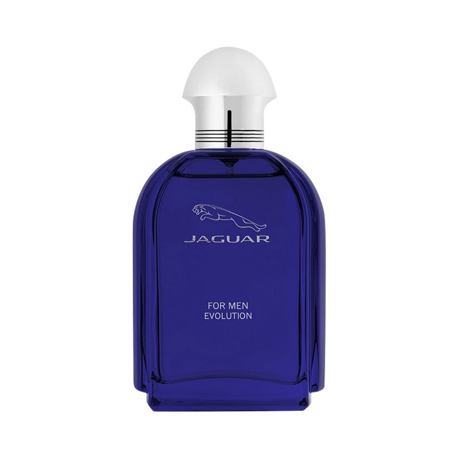 Jaguar For Men Evolution Edt 100ML