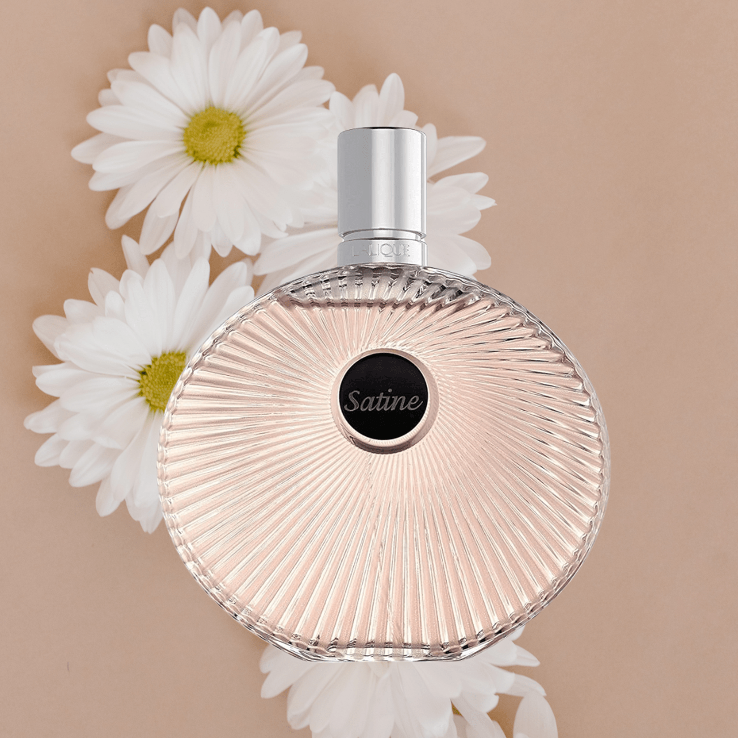 Lalique Satine Edp 100Ml